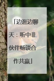 边逛边聊天：听中非伙伴畅谈合作共赢