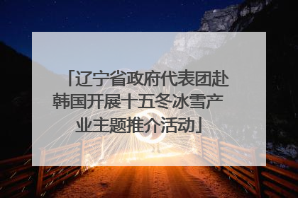 辽宁省政府代表团赴韩国开展十五冬冰雪产业主题推介活动