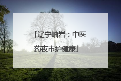 辽宁岫岩：中医药夜市护健康