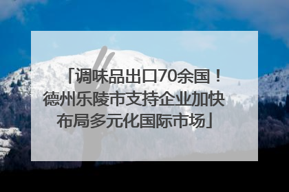 调味品出口70余国！德州乐陵市支持企业加快布局多元化国际市场