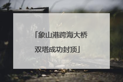 象山港跨海大桥双塔成功封顶
