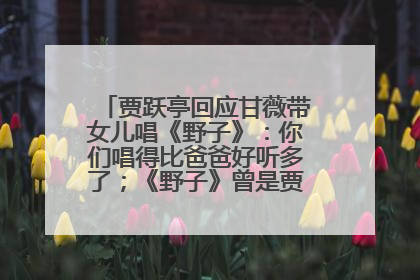 贾跃亭回应甘薇带女儿唱《野子》：你们唱得比爸爸好听多了；《野子》曾是贾跃亭“代表作”