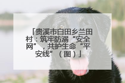 贵溪市白田乡兰田村：筑牢防溺“安全网”，共护生命“平安线”（图）