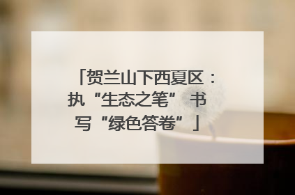 贺兰山下西夏区：执“生态之笔” 书写“绿色答卷”