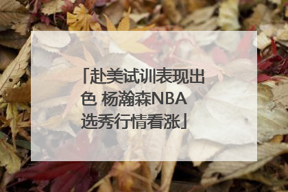 赴美试训表现出色 杨瀚森NBA选秀行情看涨