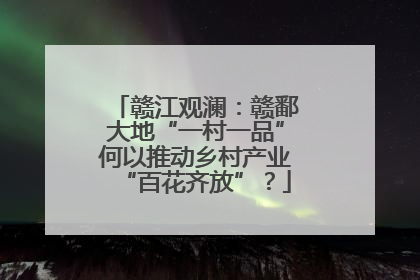 赣江观澜：赣鄱大地“一村一品”何以推动乡村产业“百花齐放”？