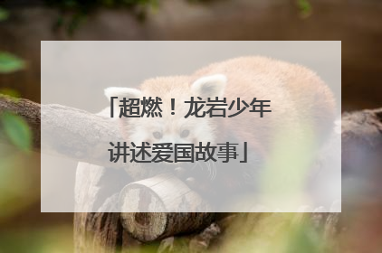 超燃！龙岩少年讲述爱国故事