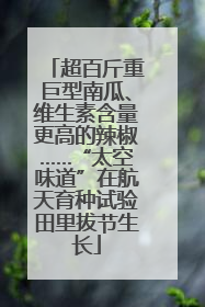 超百斤重巨型南瓜、维生素含量更高的辣椒……“太空味道”在航天育种试验田里拔节生长