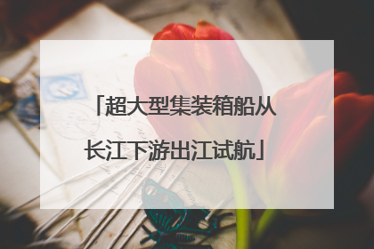 超大型集装箱船从长江下游出江试航
