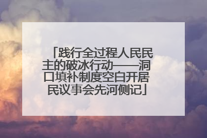 践行全过程人民民主的破冰行动——洞口填补制度空白开居民议事会先河侧记