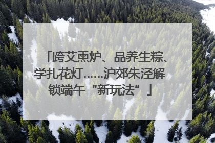 跨艾熏炉、品养生粽、学扎花灯……沪郊朱泾解锁端午“新玩法”