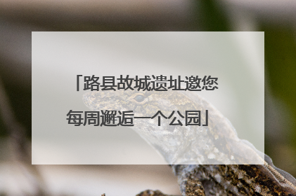 路县故城遗址邀您每周邂逅一个公园