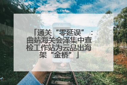 通关“零延误”：曲靖海关会泽集中查检工作站为云品出海架“金桥”