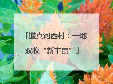 道真河西村：一地双收“新丰景”