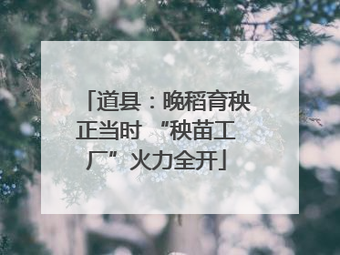 道县：晚稻育秧正当时 “秧苗工厂”火力全开