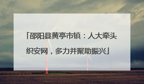 邵阳县黄亭市镇：人大牵头织安网，多力并聚助振兴