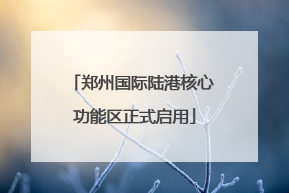 郑州国际陆港核心功能区正式启用