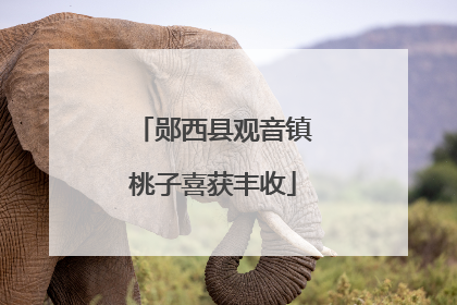 郧西县观音镇桃子喜获丰收