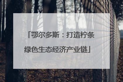 鄂尔多斯：打造柠条绿色生态经济产业链