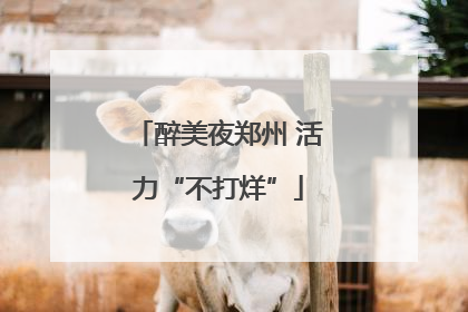 醉美夜郑州 活力“不打烊”