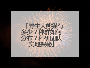 野生大熊猫有多少？种群如何分布？科研团队实地探秘