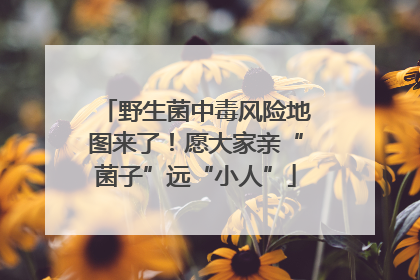 野生菌中毒风险地图来了！愿大家亲“菌子”远“小人”