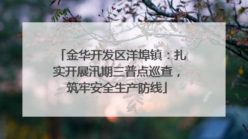 金华开发区洋埠镇：扎实开展汛期三普点巡查，筑牢安全生产防线