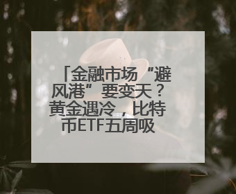 金融市场“避风港”要变天？黄金遇冷，比特币ETF五周吸金90亿美元