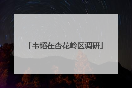 韦韬在杏花岭区调研