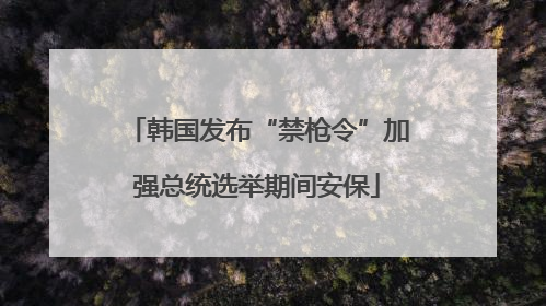 韩国发布“禁枪令”加强总统选举期间安保