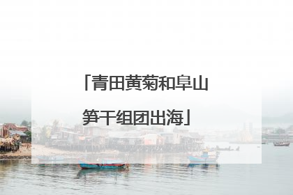 青田黄菊和阜山笋干组团出海