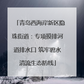 青岛西海岸新区隐珠街道：专项摸排河道排水口 筑牢碧水清流生态防线