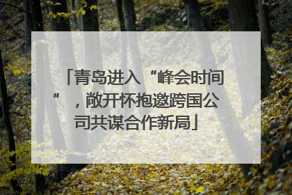 青岛进入“峰会时间”，敞开怀抱邀跨国公司共谋合作新局