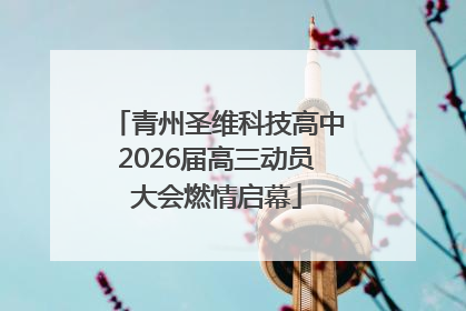 青州圣维科技高中2026届高三动员大会燃情启幕