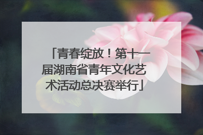 青春绽放！第十一届湖南省青年文化艺术活动总决赛举行