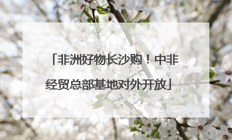 非洲好物长沙购！中非经贸总部基地对外开放
