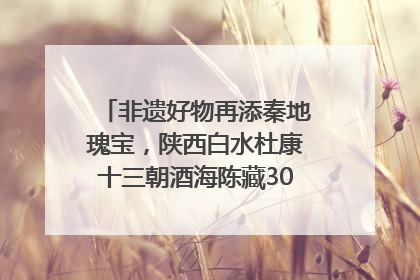 非遗好物再添秦地瑰宝，陕西白水杜康十三朝酒海陈藏30年别具一格