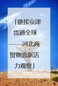链接京津 货通全球——河北商贸物流新活力观察