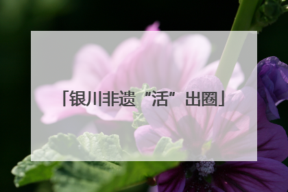 银川非遗“活”出圈