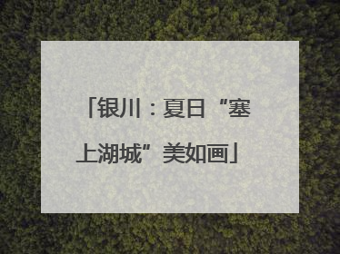 银川：夏日“塞上湖城”美如画