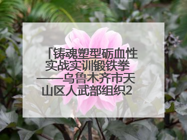 铸魂塑型砺血性 实战实训锻铁拳——乌鲁木齐市天山区人武部组织2025年度民兵集中轮训