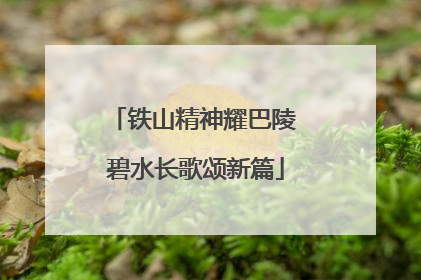 铁山精神耀巴陵 碧水长歌颂新篇