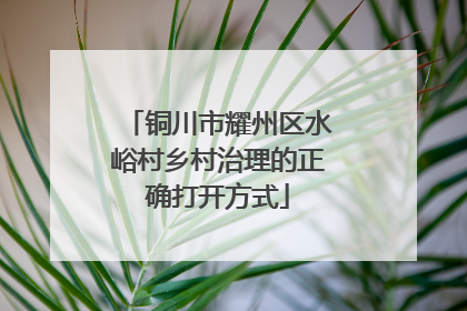 铜川市耀州区水峪村乡村治理的正确打开方式