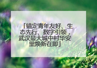 锚定青年友好、生态先行、数字引领，武汉最大城中村华安里焕新在即