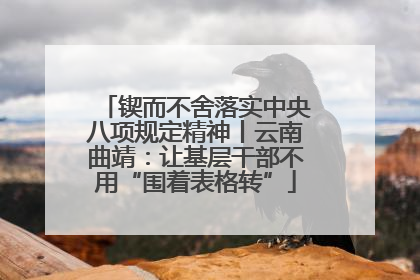 锲而不舍落实中央八项规定精神丨云南曲靖：让基层干部不用“围着表格转”