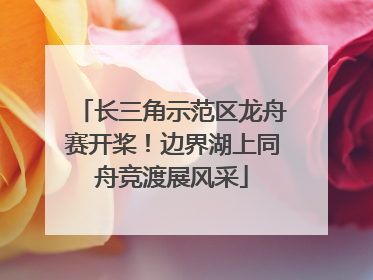 长三角示范区龙舟赛开桨！边界湖上同舟竞渡展风采