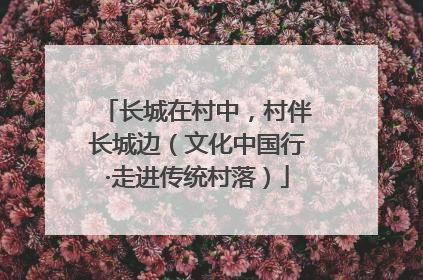 长城在村中，村伴长城边（文化中国行·走进传统村落）