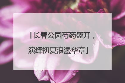 长春公园芍药盛开，演绎初夏浪漫华章