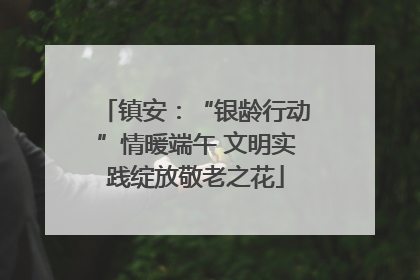 镇安：“银龄行动”情暖端午 文明实践绽放敬老之花