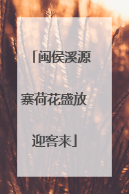 闽侯溪源寨荷花盛放迎客来